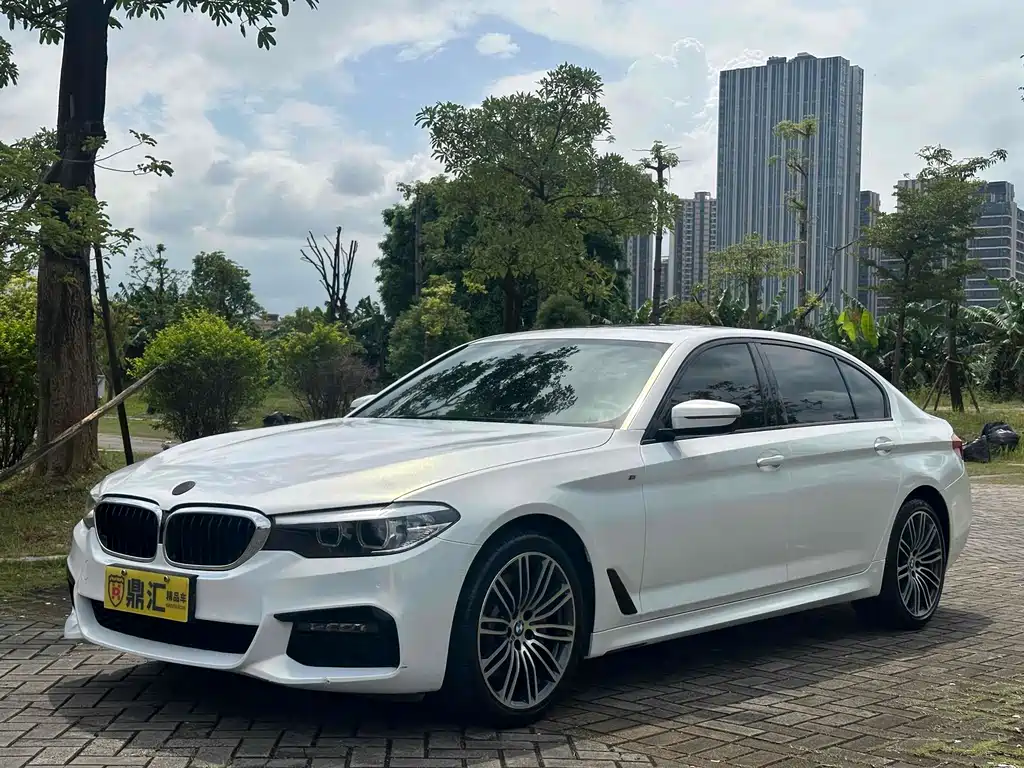 BMW 5 Series 2019