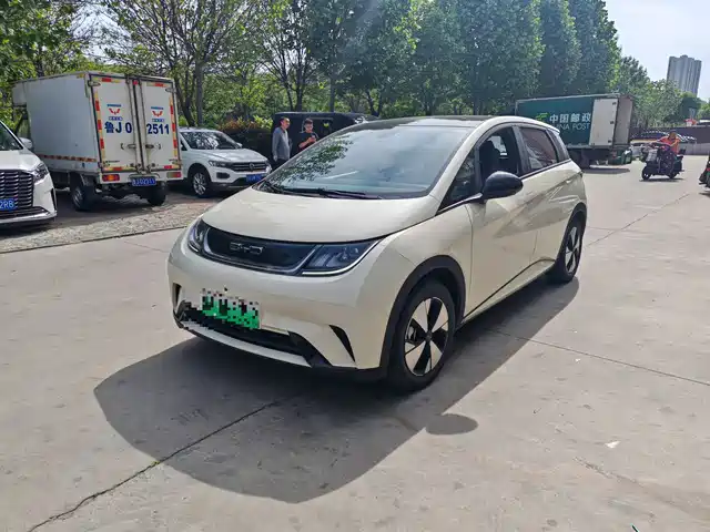 2023 BYD Dolphin
