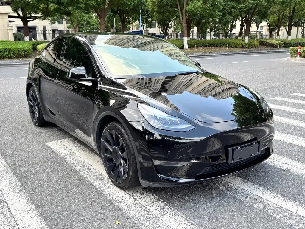 Tesla Model Y — миниатюра 3