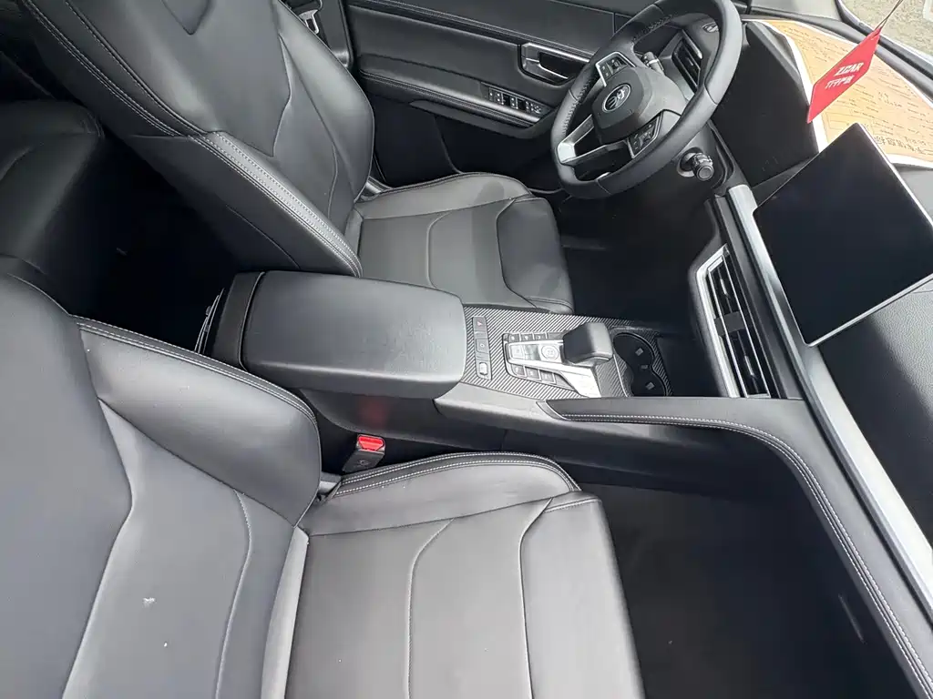 BYD Pro — миниатюра 7