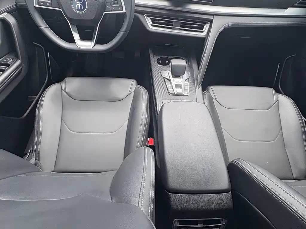 BYD Pro — миниатюра 14