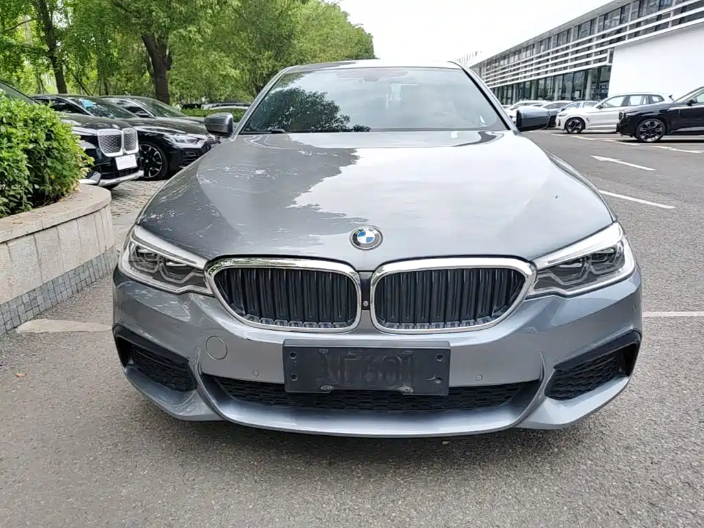 BMW 5 Series (Import) — миниатюра 3