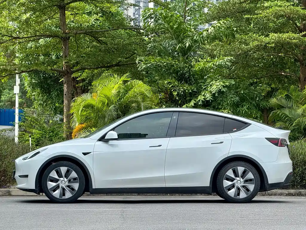Tesla Model Y — миниатюра 4