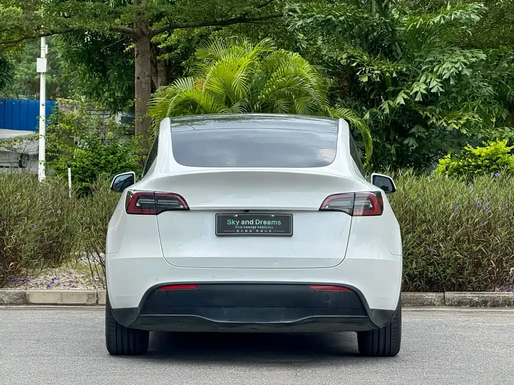 Tesla Model Y — миниатюра 5