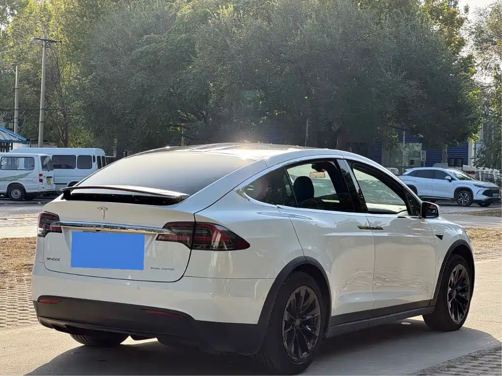 Tesla Model X — миниатюра 11