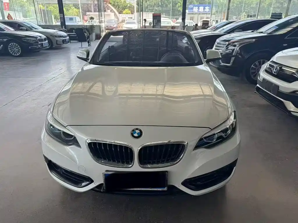 Купить BMW 2 Series (Import)