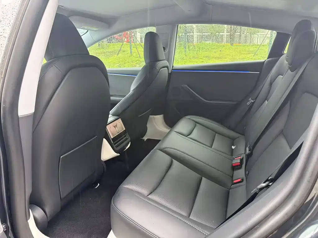 Tesla Model 3 — миниатюра 6