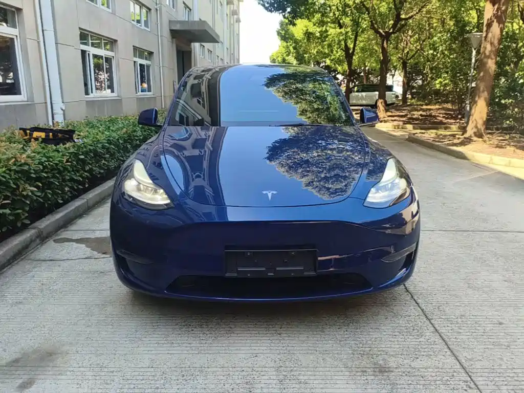 Tesla Model Y — миниатюра 3