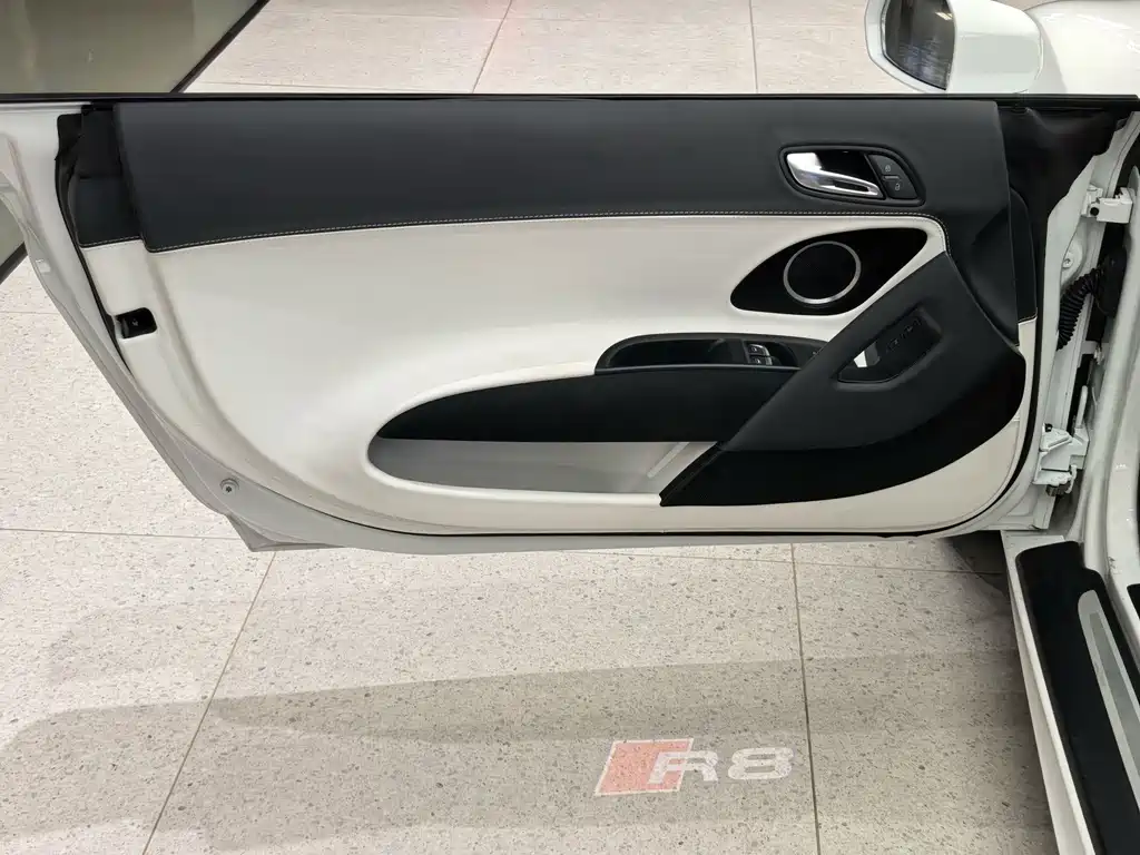 Audi R8 — миниатюра 49