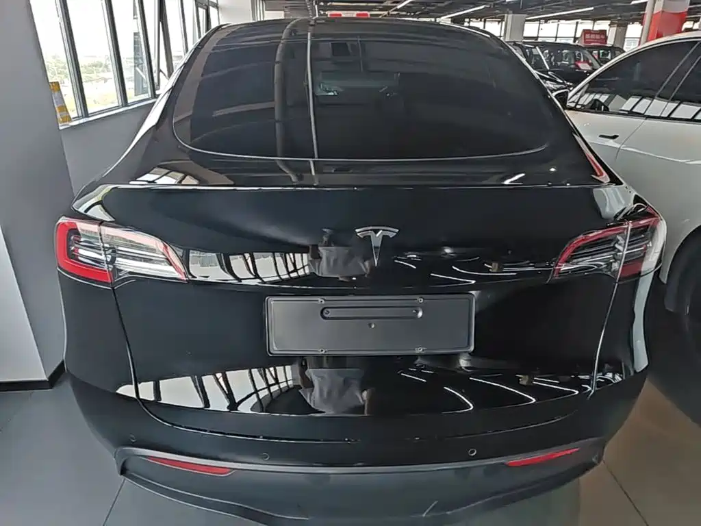Tesla Model Y — миниатюра 6