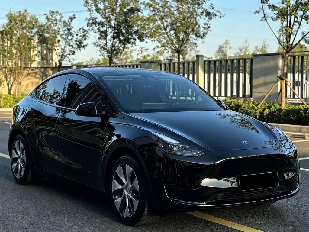 Tesla Model Y — миниатюра 4