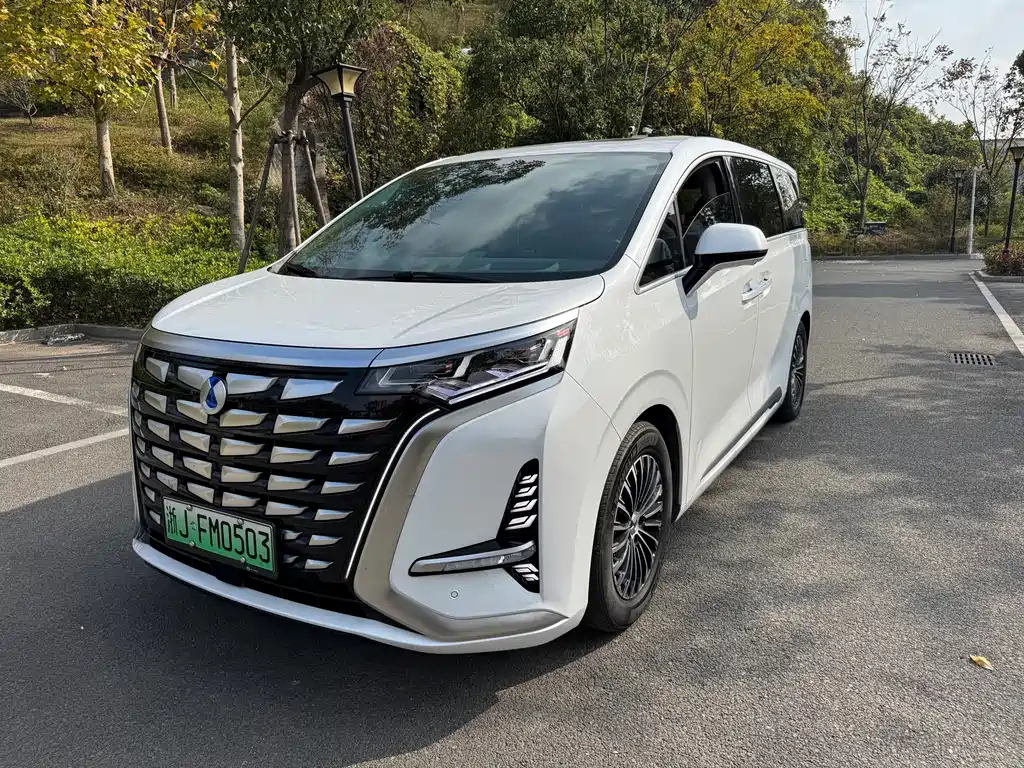 Denza Denza D9