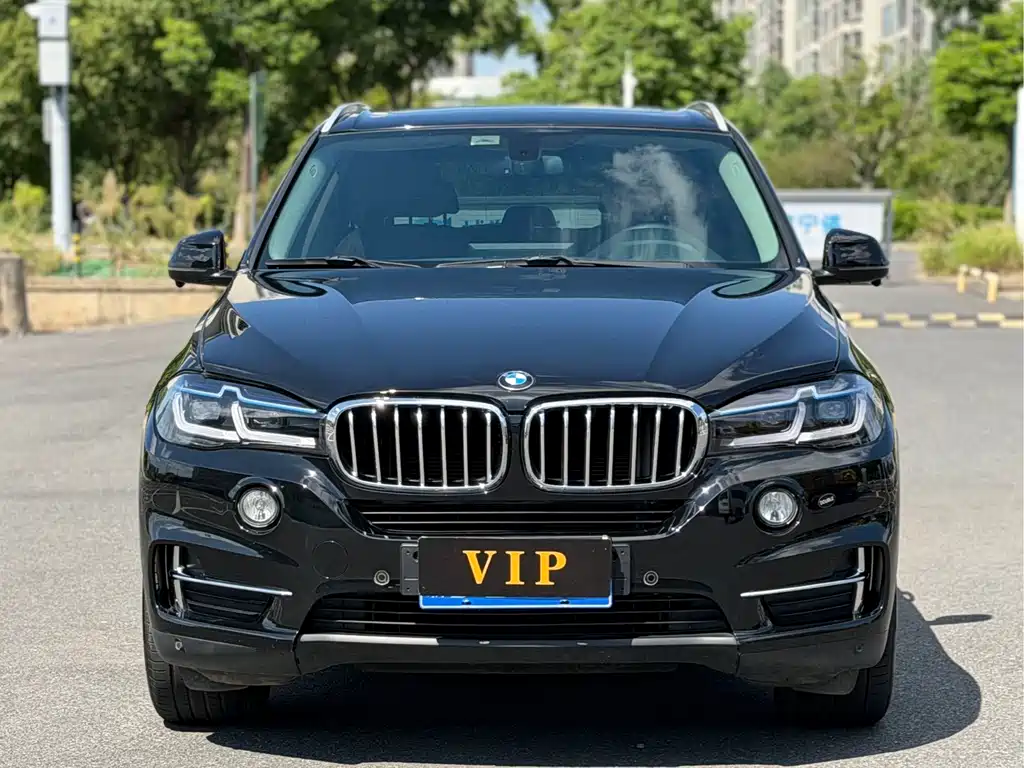 BMW X5 (Import) — миниатюра 2