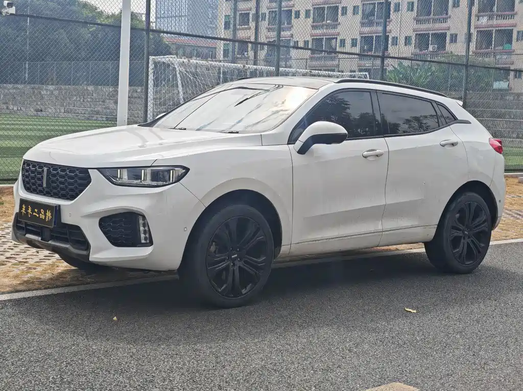 WEI PAI WEI BRAND VV5