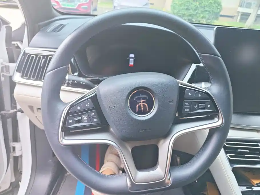 BYD PLUS New Energy — миниатюра 15