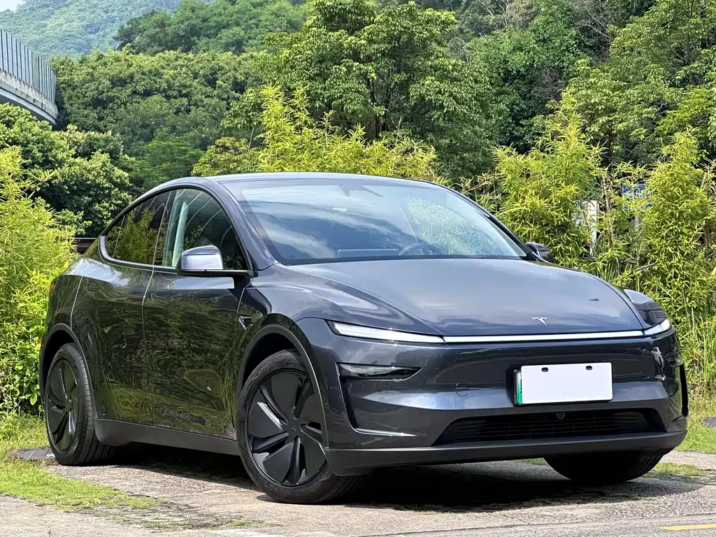 Tesla Model Y — миниатюра 3