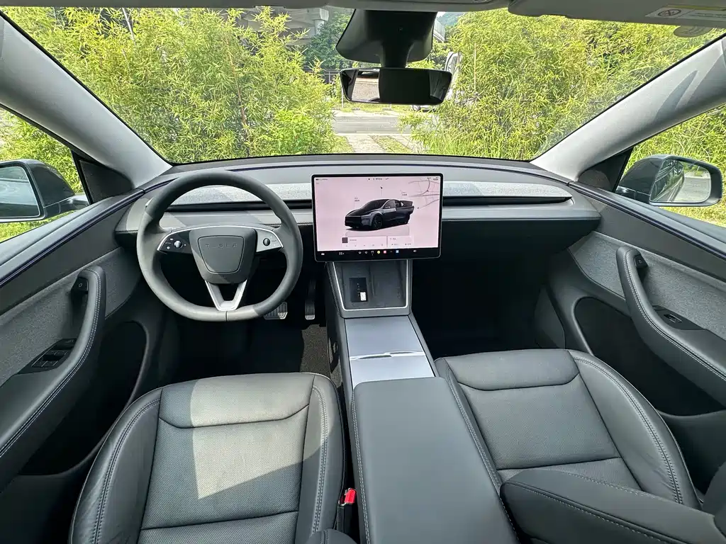 Tesla Model Y — миниатюра 17