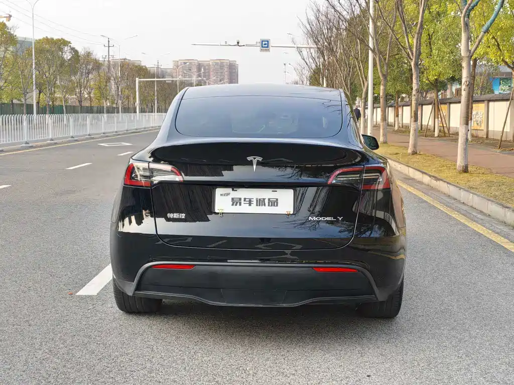 Tesla Model Y — миниатюра 4