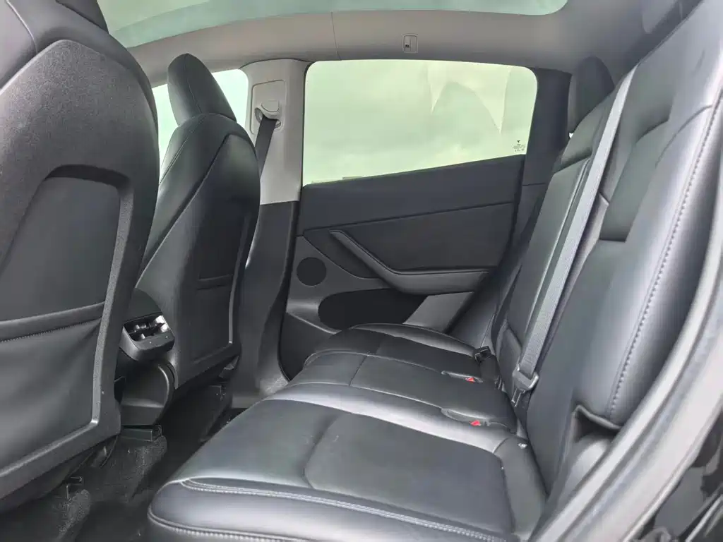 Tesla Model Y — миниатюра 6