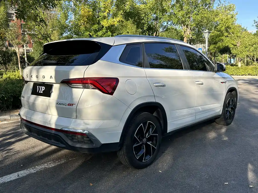 Skoda Kamiq — миниатюра 5