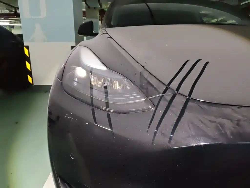 Tesla Model Y — миниатюра 7