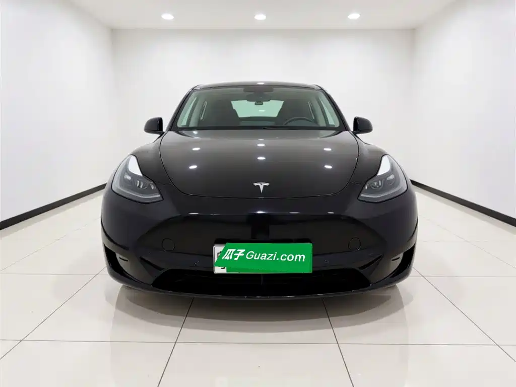 Tesla Model Y — миниатюра 2