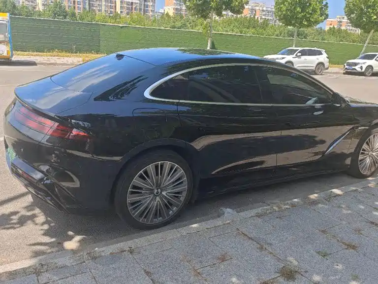 Denza Denza Z9 — миниатюра 6