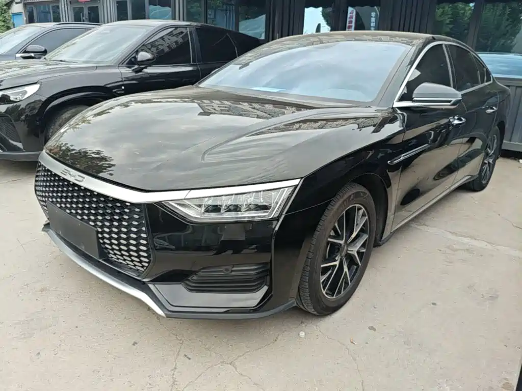 BYD e9 — миниатюра 2