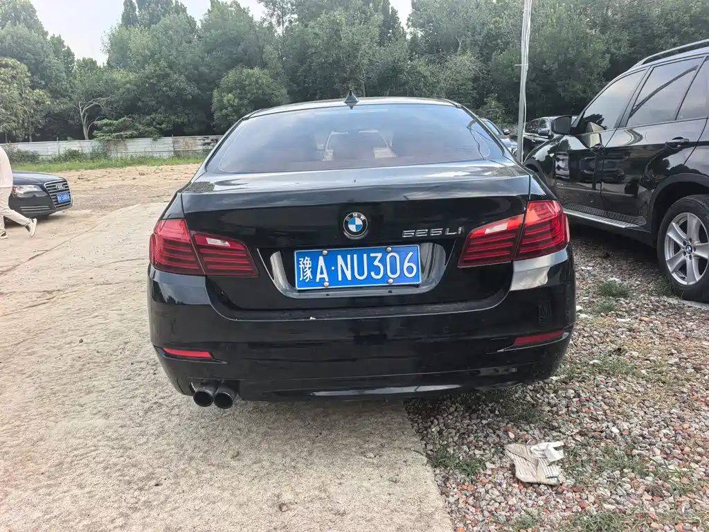 BMW 5 Series 5 2014 525Li Lead