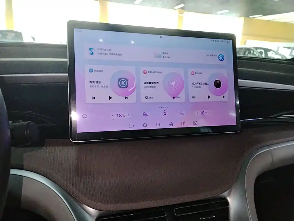 BYD Pro New Energy — миниатюра 13