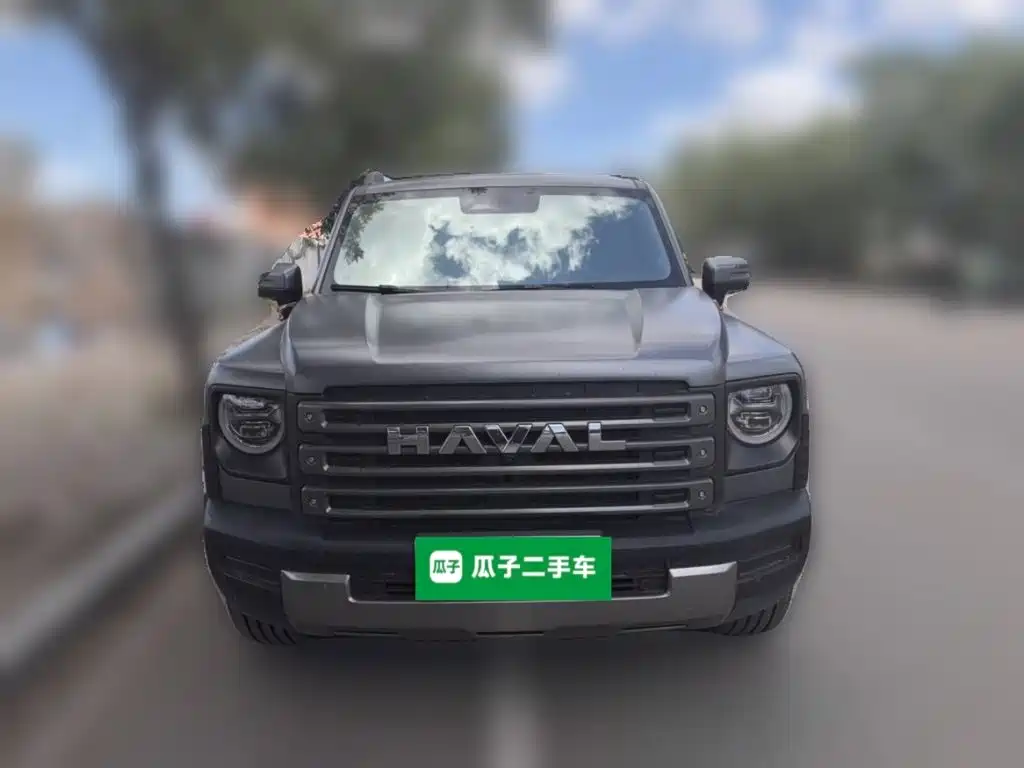Haval Menglong New Energy — миниатюра 2
