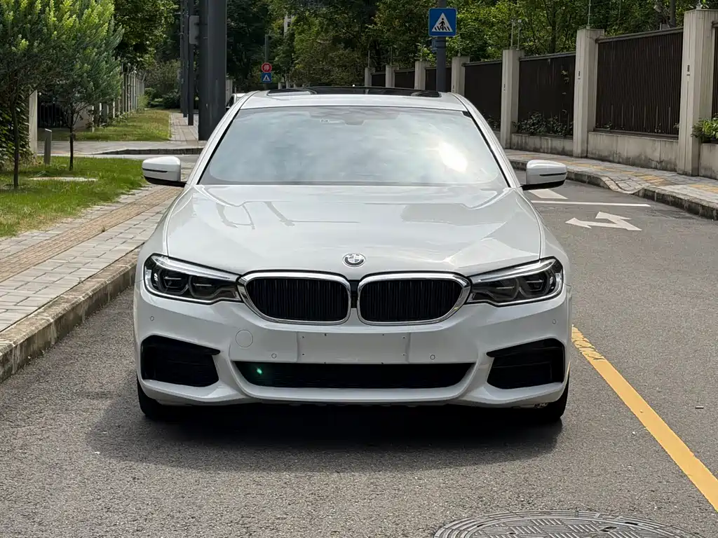 BMW 5 Series (Import) — миниатюра 2