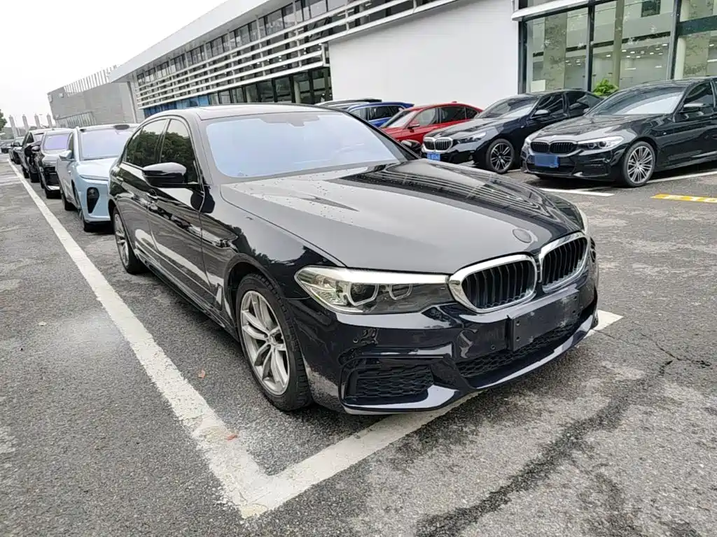 BMW 5 Series — миниатюра 4