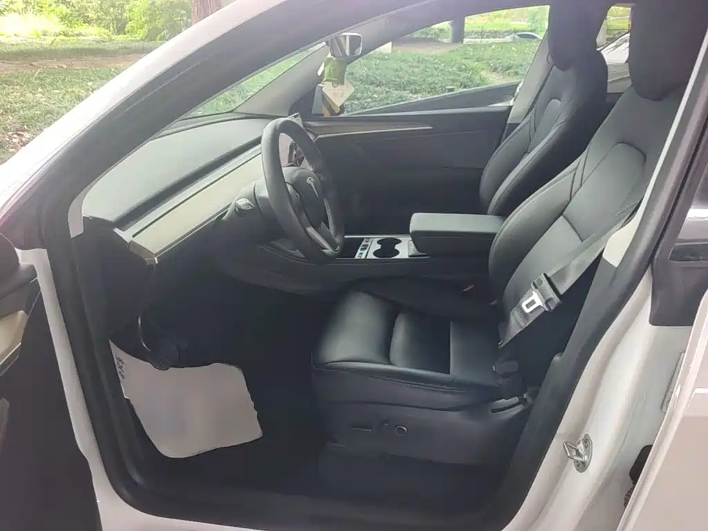 Tesla Model Y — миниатюра 15
