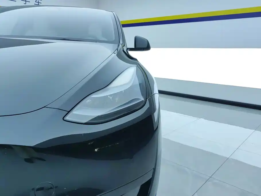 Tesla Model Y — миниатюра 5