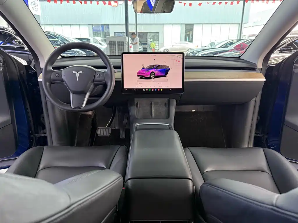 Tesla Model Y — миниатюра 9