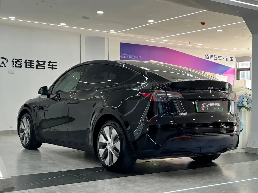 Tesla Model Y — миниатюра 6