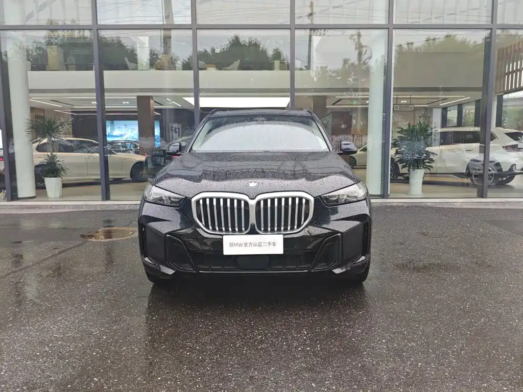 BMW X5 — миниатюра 3