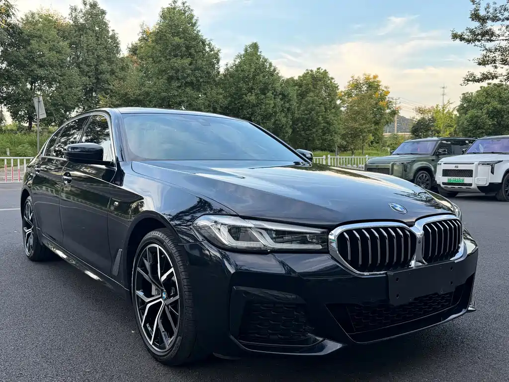 BMW 5 Series — миниатюра 4