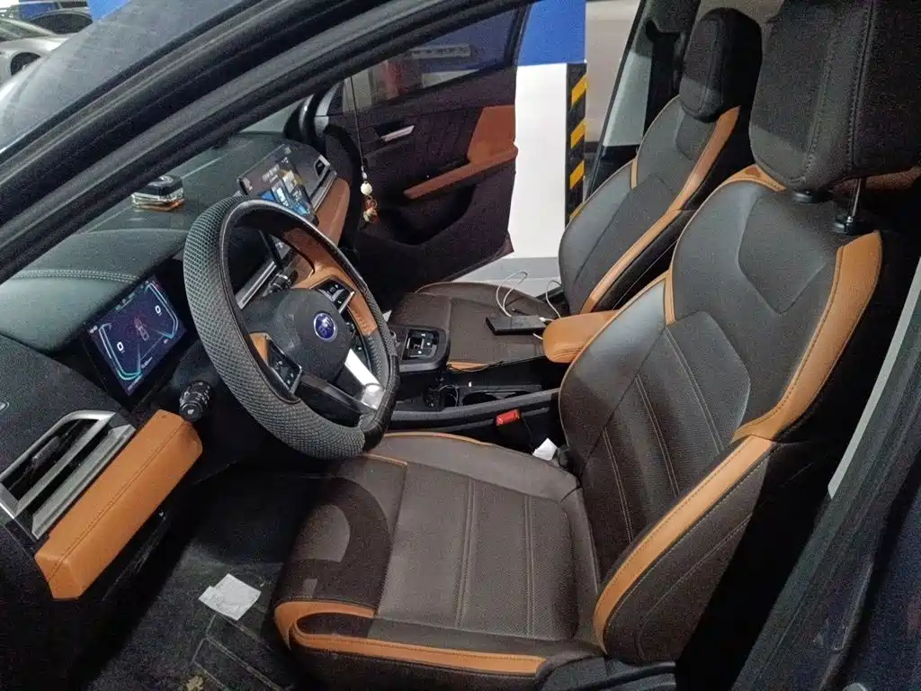 BYD e2 — миниатюра 8