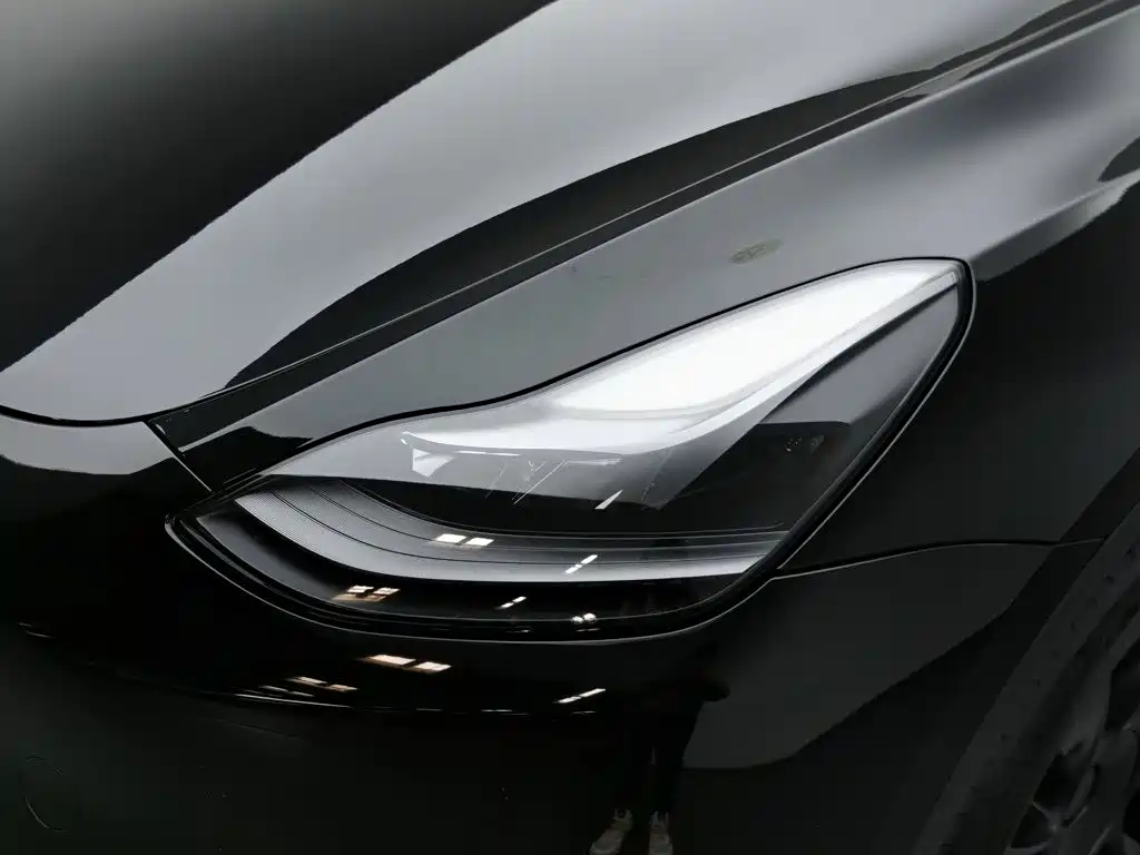 Tesla Model Y — миниатюра 7
