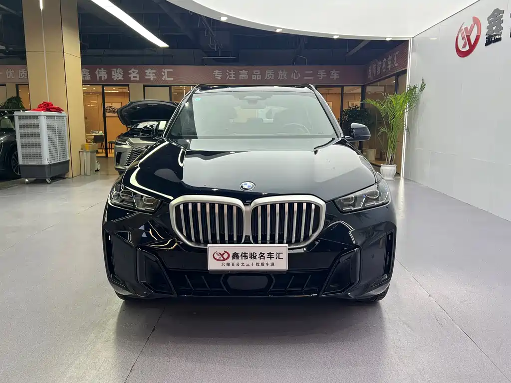 BMW X5 — миниатюра 3