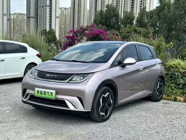 2023 BYD Dolphin