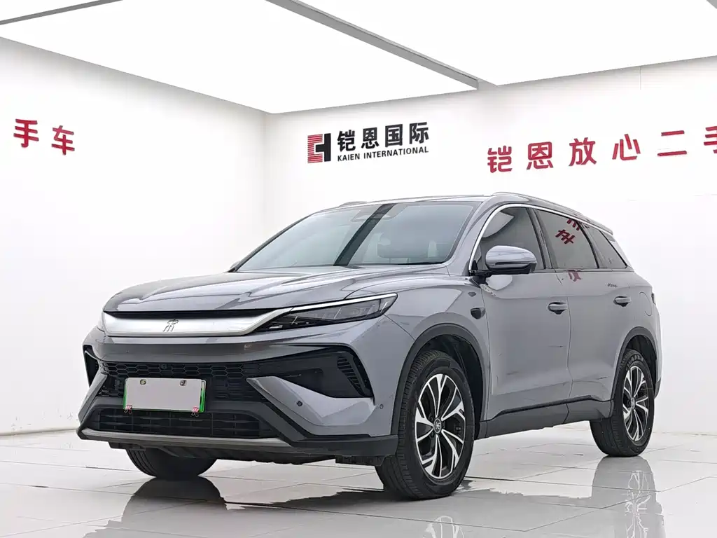 Byd Pro New Energy 2025