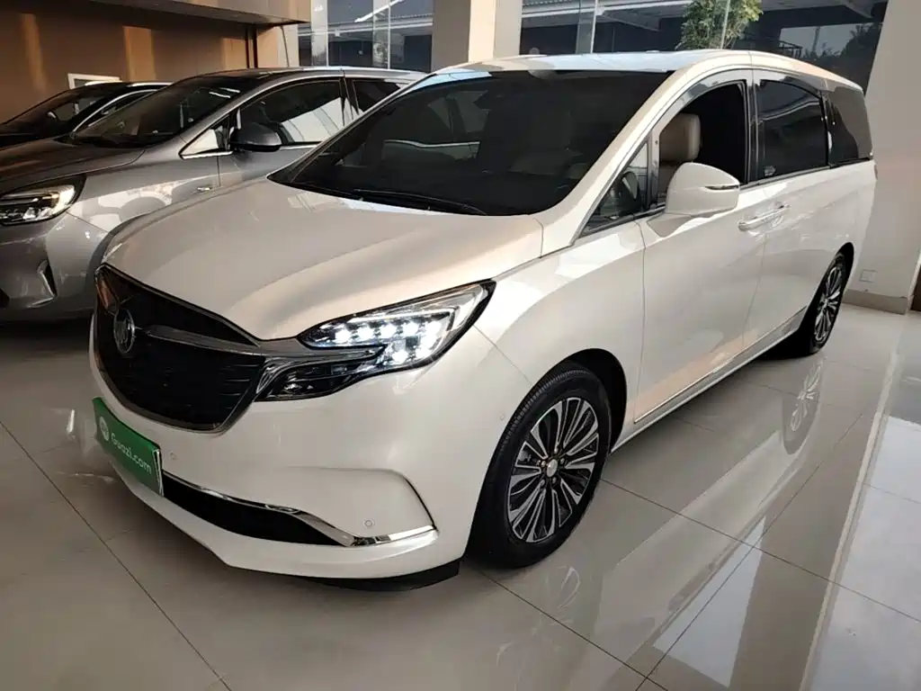 Buick GL8 — миниатюра 2