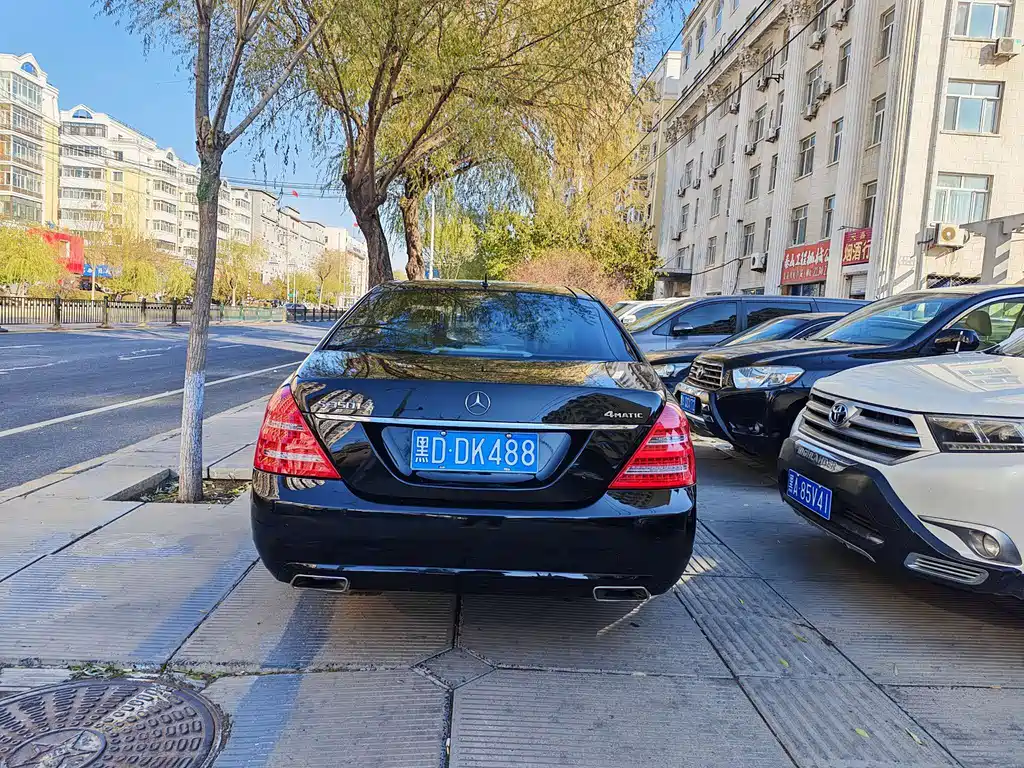 Mercedes-Benz S-Class S 2010 S 300 L Luxury