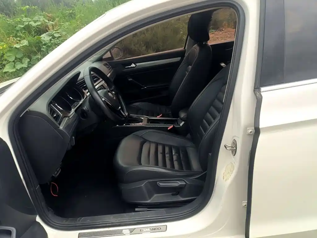 Volkswagen Lamando — миниатюра 15