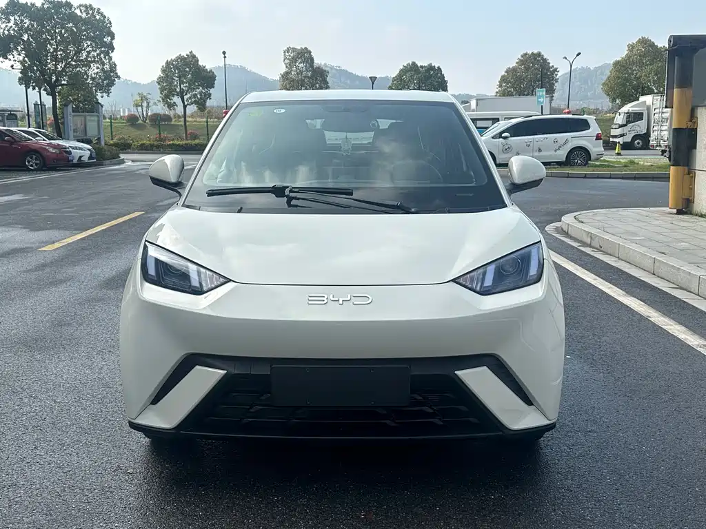 BYD Seagull 2024 305km
