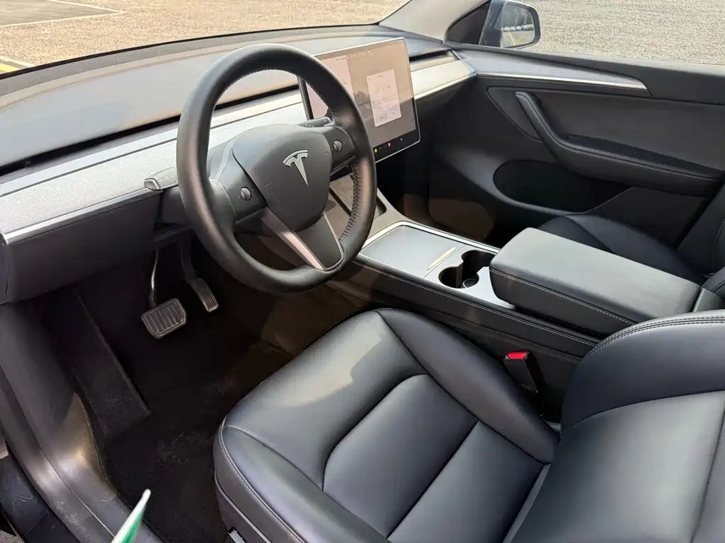 Tesla Model Y — миниатюра 10
