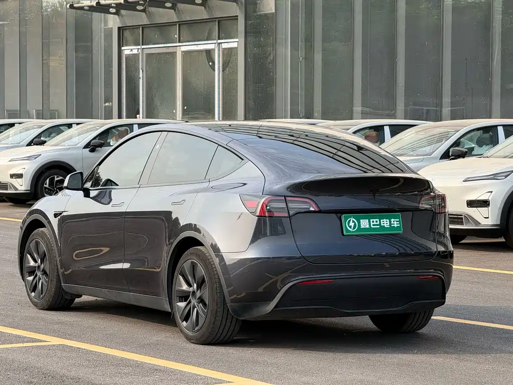 Tesla Model Y — миниатюра 5